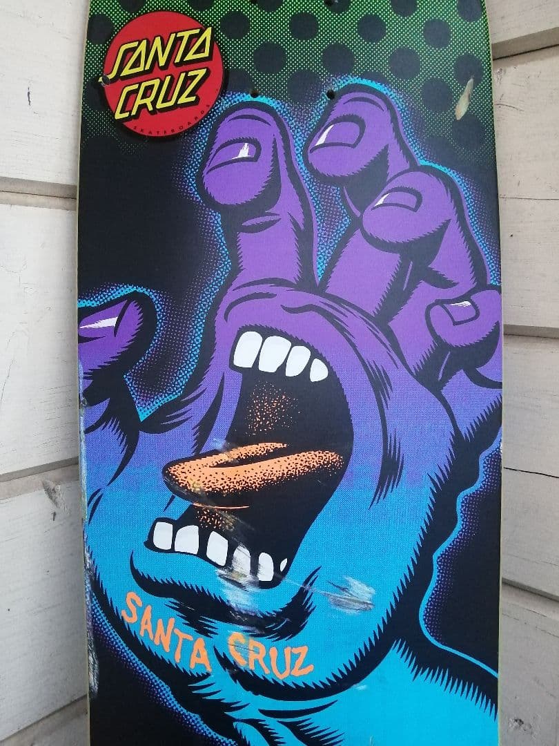 SANTA CRUZ　Rob Roskopp　サンタクルーズ