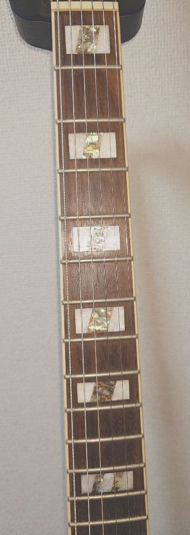 【haruka】Ibanez Destroyer Ⅱ 2015