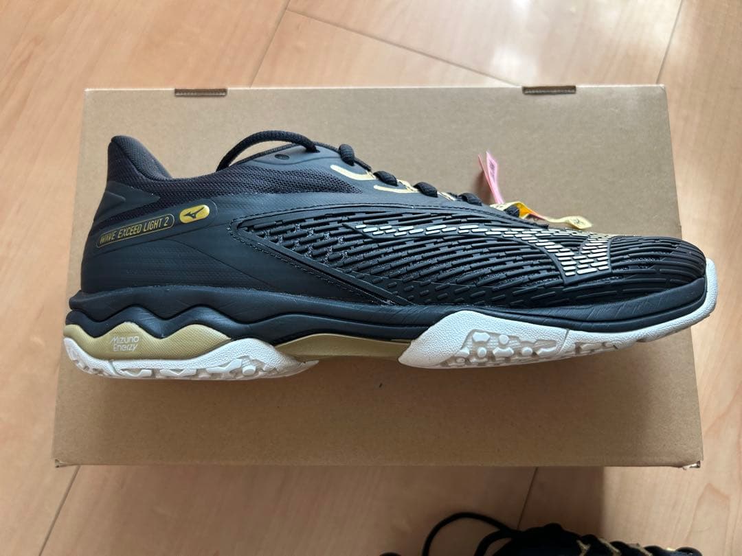 Mizuno Wave Exceed Tour 2 テニスシューズ