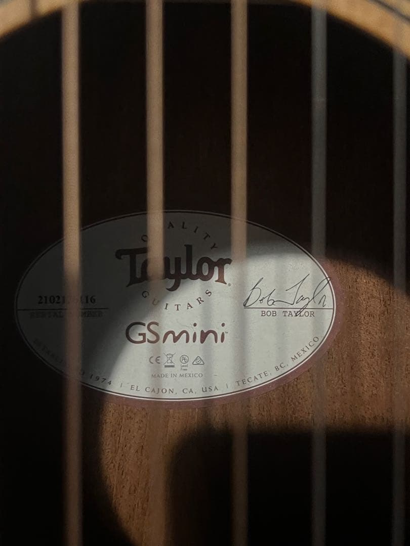 U*e様 gs mini-e Taylor rosewood ES-2 エレアコ