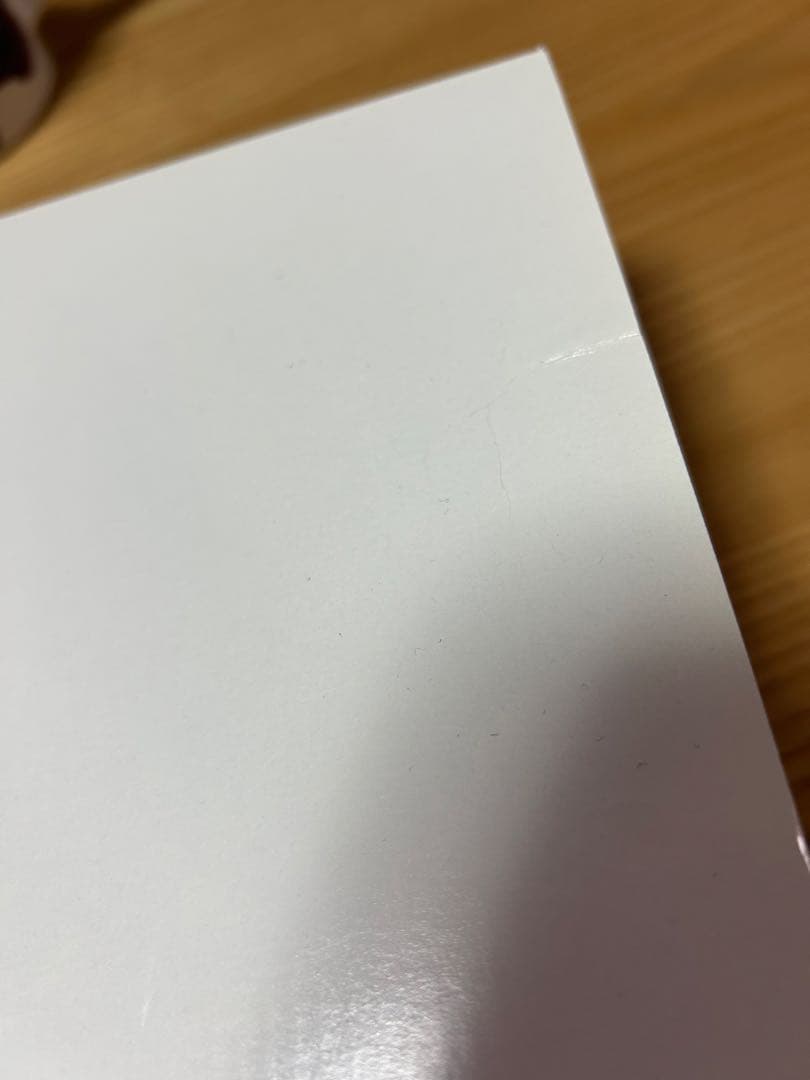 【未使用箱入り】イッタラ　ティーマ　ローズ　21cm プレート2枚