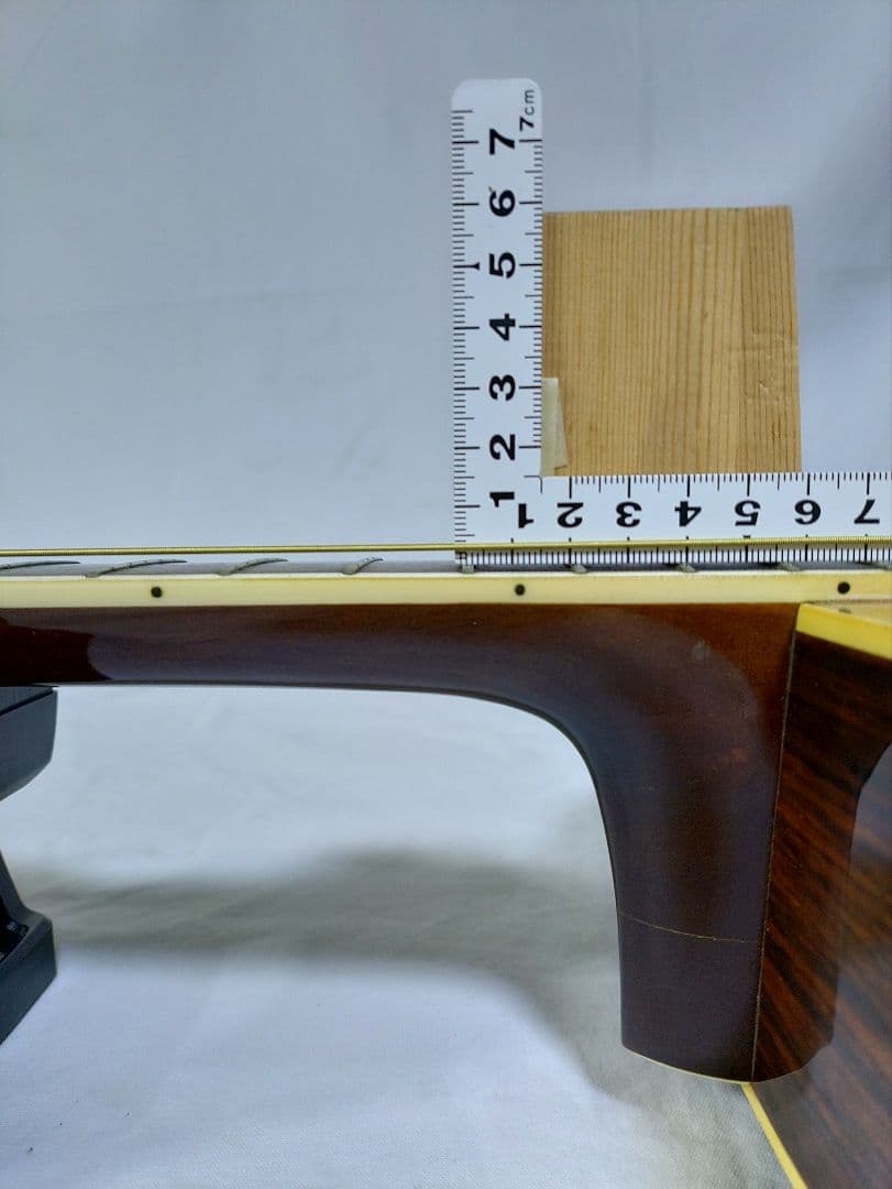 Humming　 Bird 　CUSTOM W-300 　　東海楽器