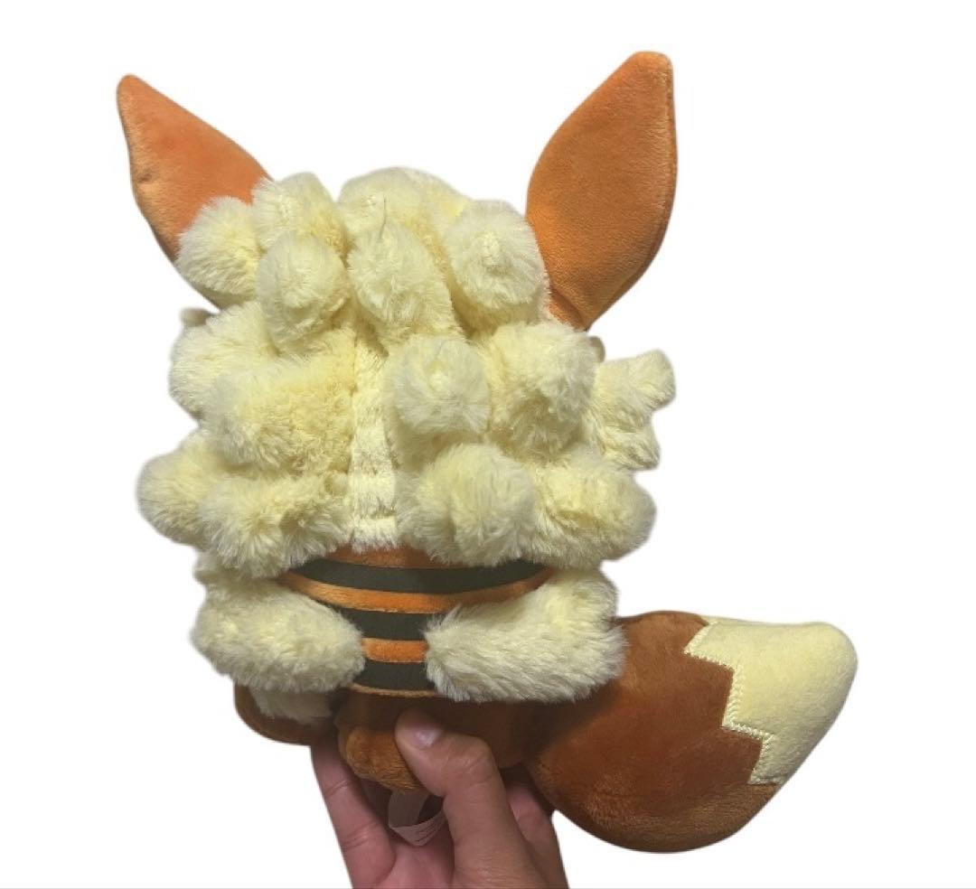ウィンディポンチョのイーブイぬいぐるみ　沖縄限定　ポケモンセンター