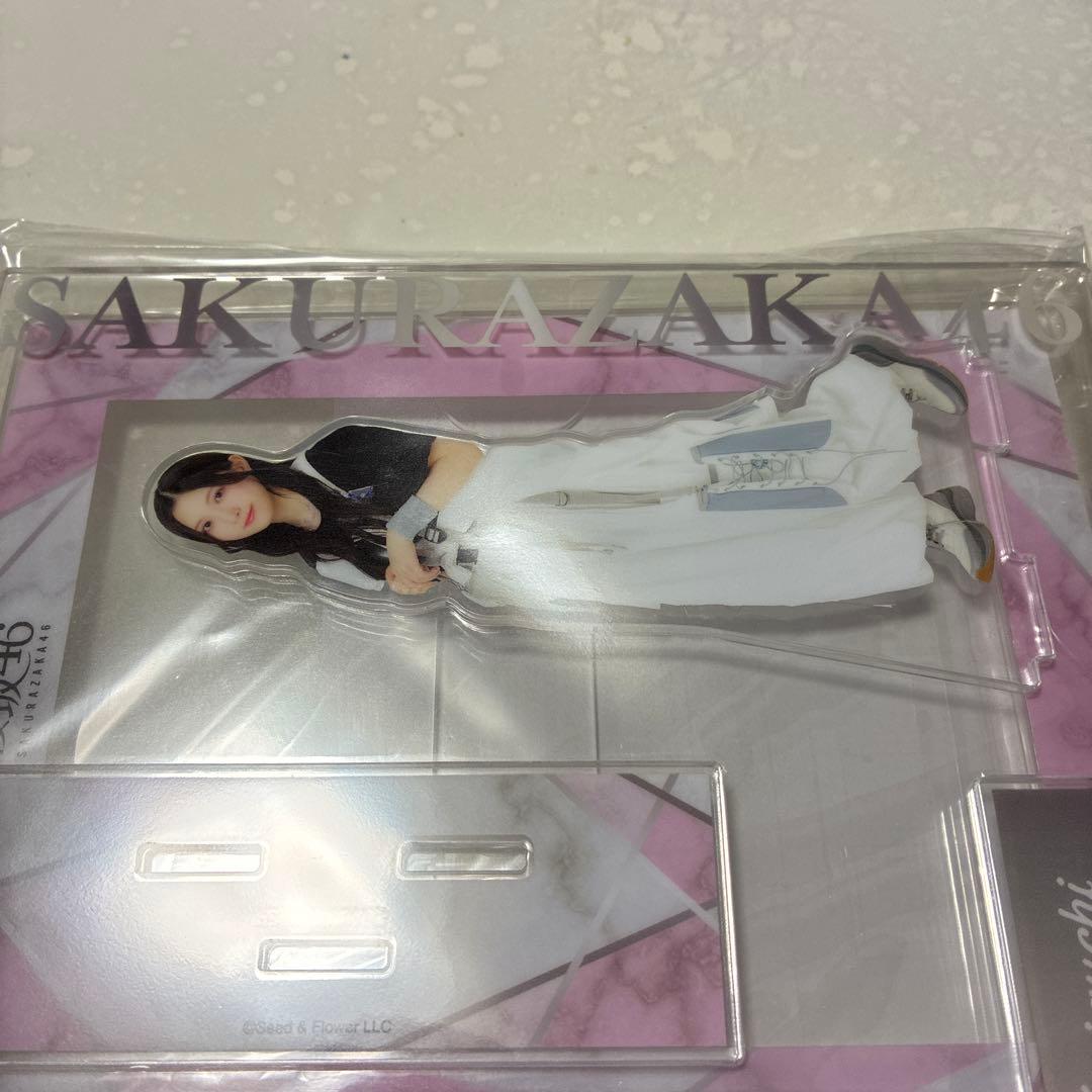 櫻坂46 谷口愛季 アクリルスタンド・ブロマイド セット