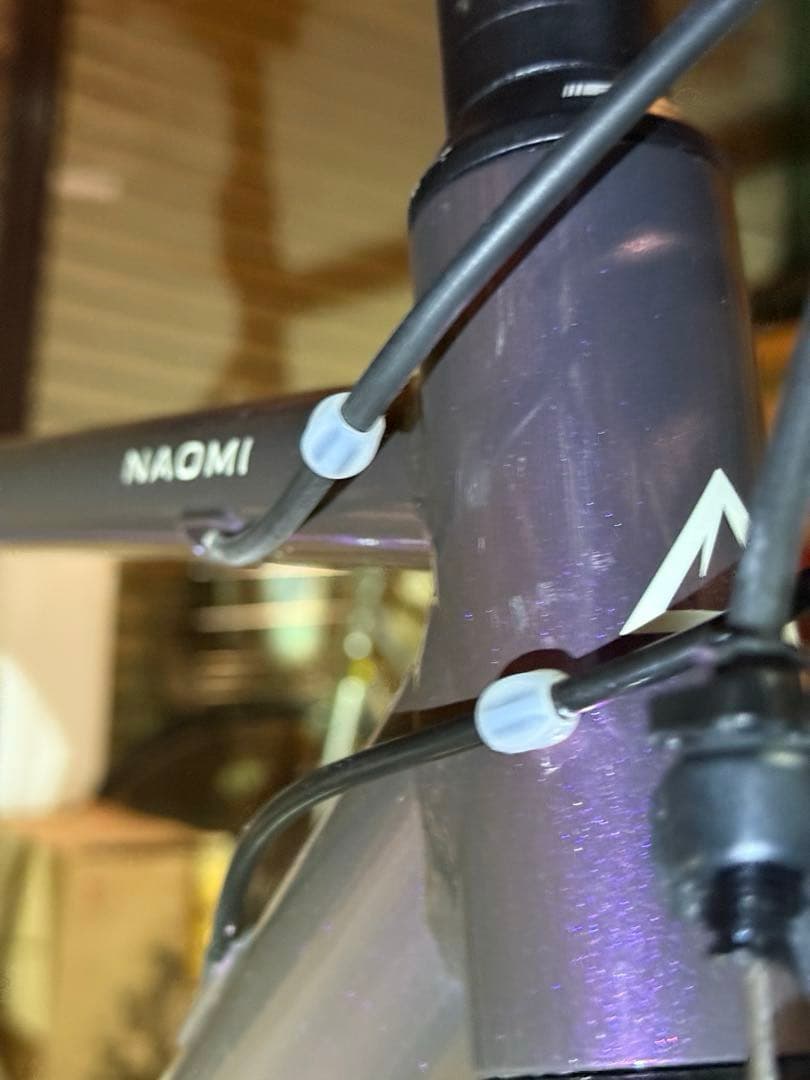 【完成車】FUJI NAOMI size:54