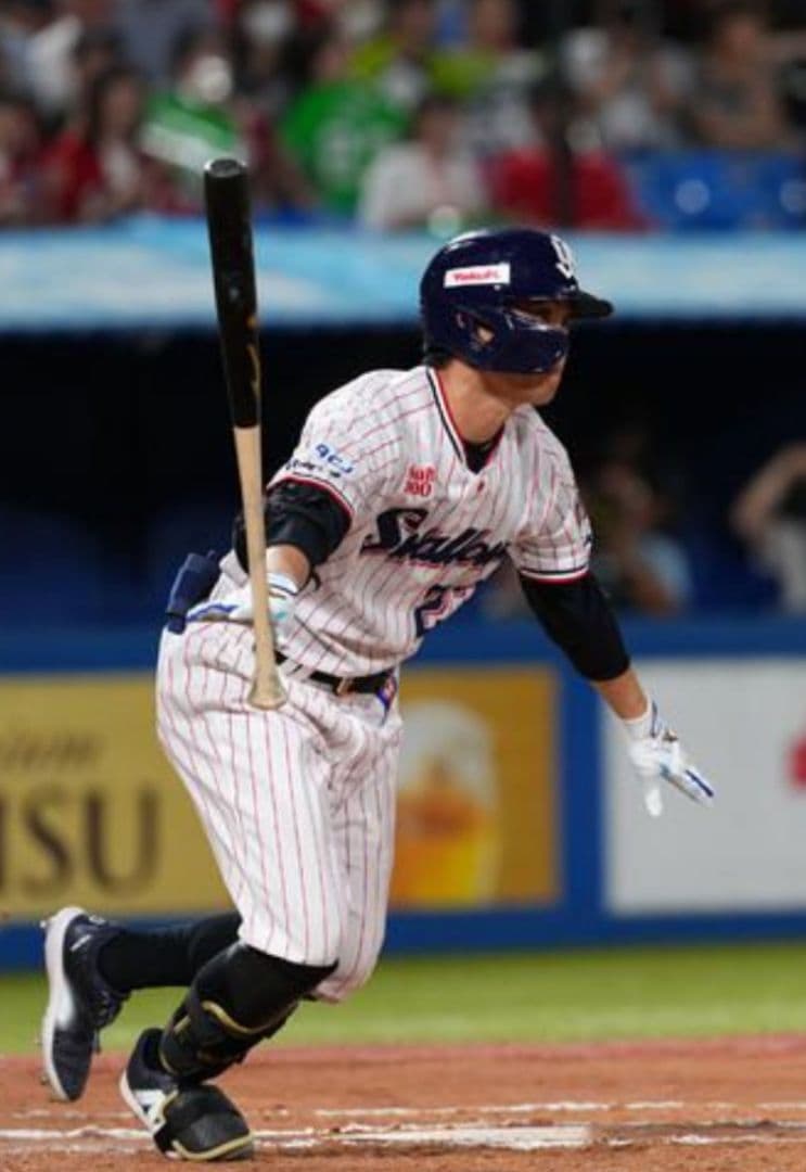 4点セットヤクルトスワローズ2022 優勝記念パーカー青木宣親