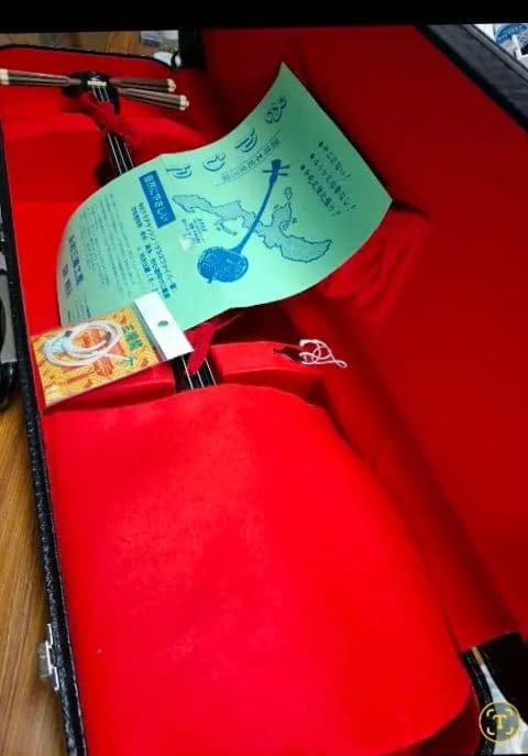 三線　サンシン本体　本皮　 金色装飾付き