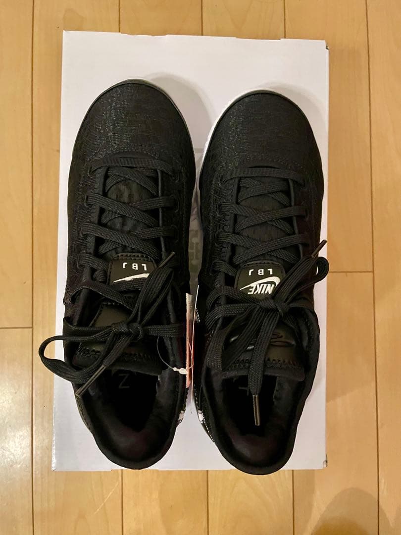 NIKE、ZOOM LEBRON NXXT GEN EP、27センチ