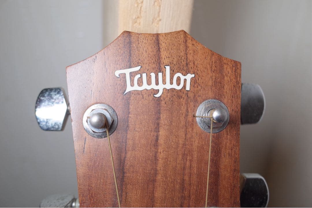 Taylor 114e アコースティックギター Iyorin保証書あり