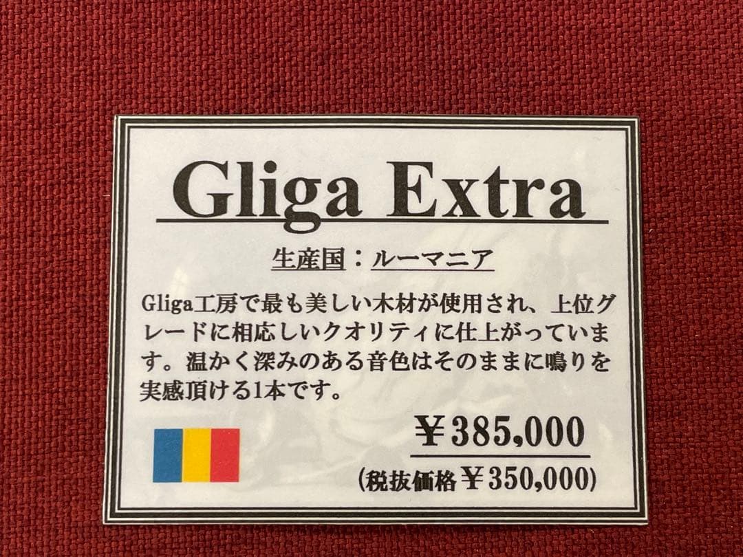 15万円引き【未使用】Gliga Extra／カーボンマック／肩当／保証書付き