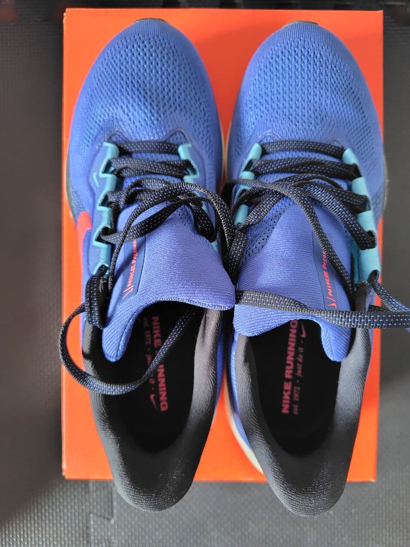 NIKE　ナイキ　ズームペガサス41 25.5cm