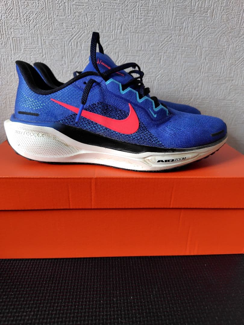 NIKE　ナイキ　ズームペガサス41 25.5cm