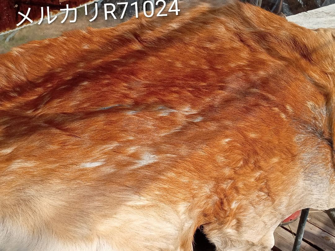 天然日本鹿夏毛ラグ　みみ付き