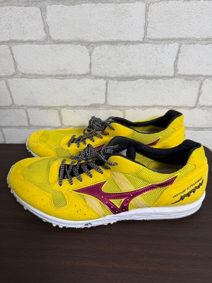 Mizuno ウェーブクルーズジャパン　26.5cm