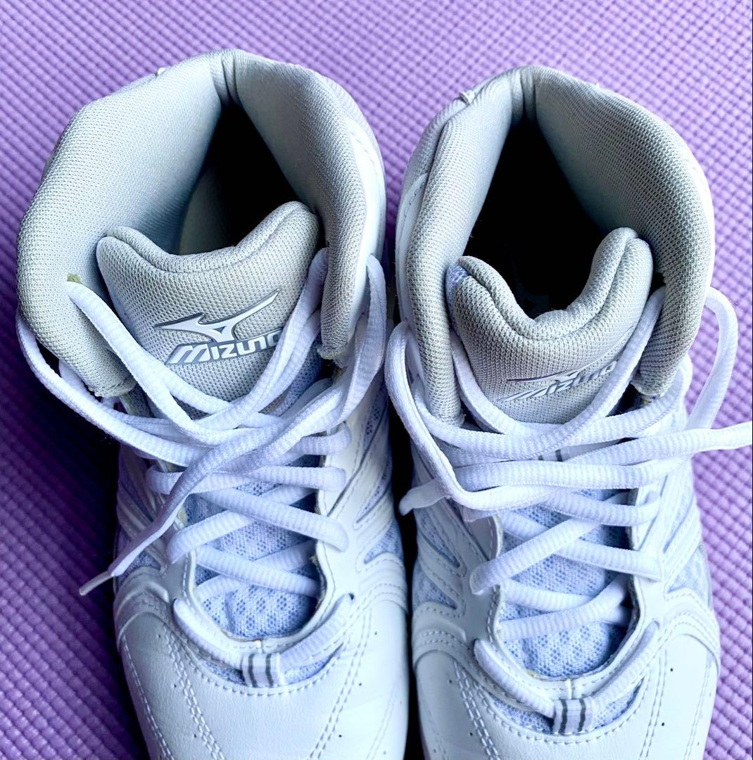 その他 MIZUNO WAVE DIVERSE LG3 23.5cm
