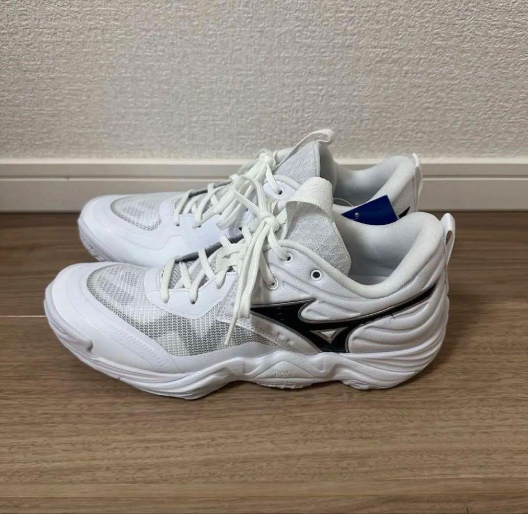 ミズノ　ウェーブモーメンタム　エリート　26cm