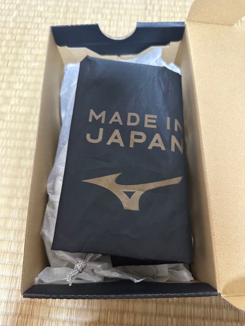 モレリア2Japan ノーマルステッチ 24cm