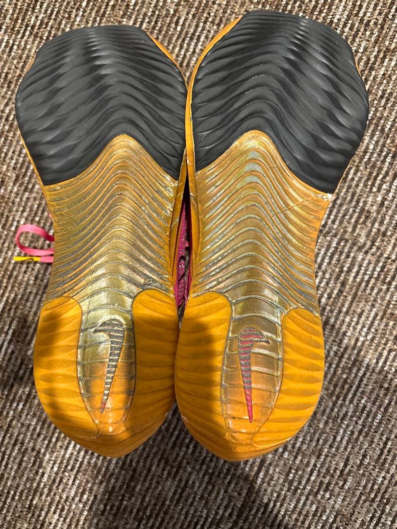 Nike ストリークフライ2 26.0