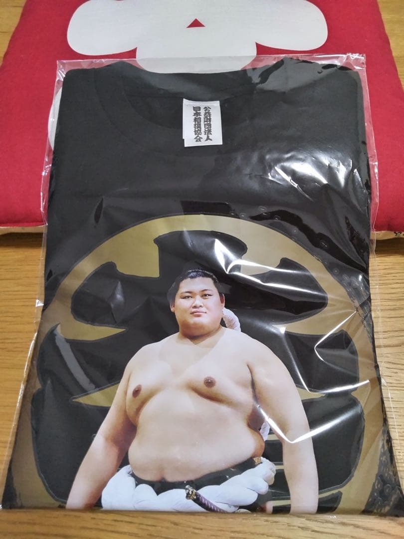 横綱　大の里グッズ