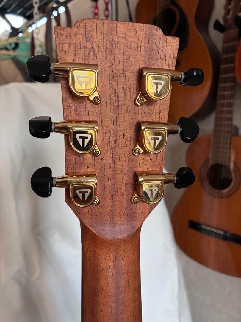 訳あり！TRAVELER GUITAR CL3E SPSE