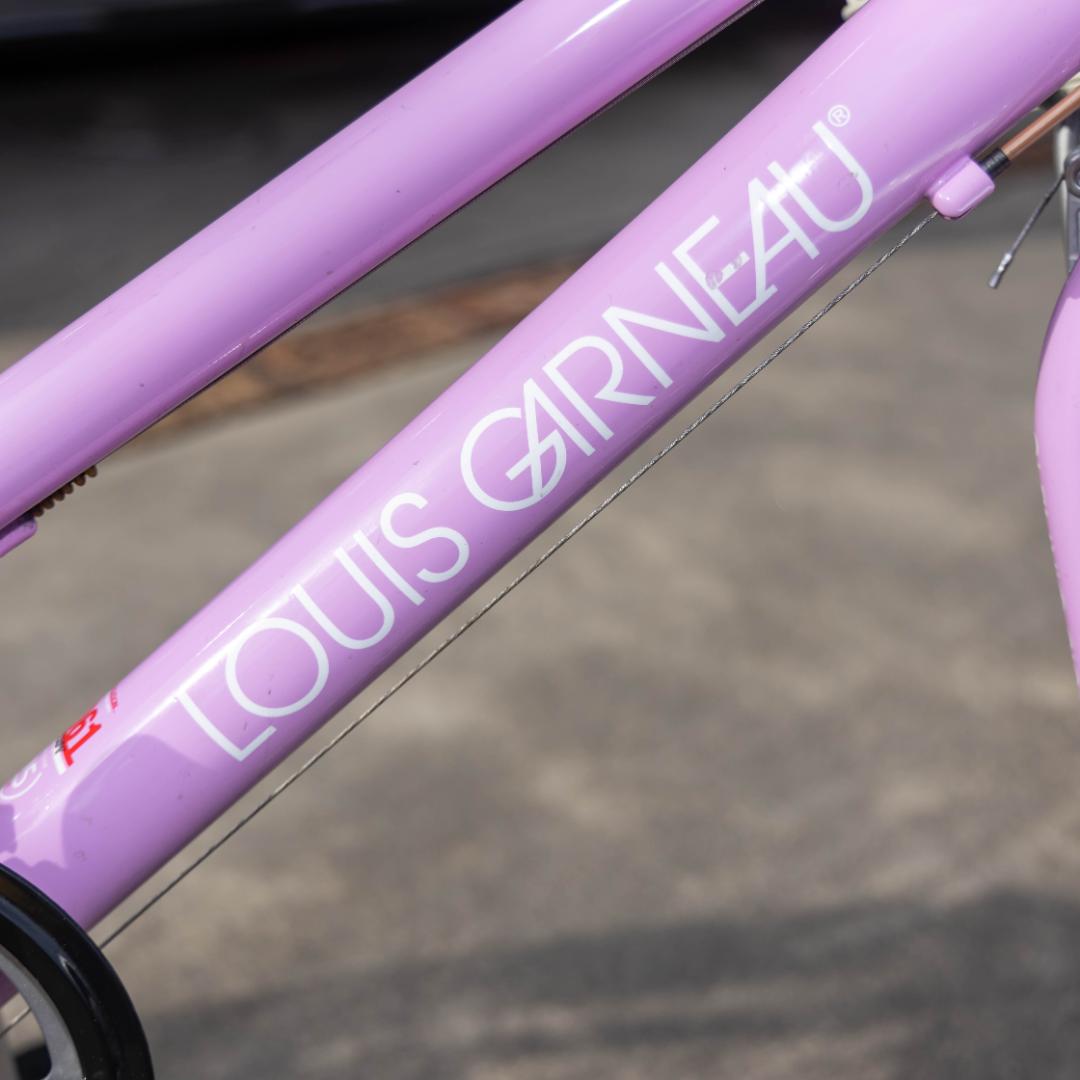ルイガノ J20 plus 子供用自転車　おまけ付き