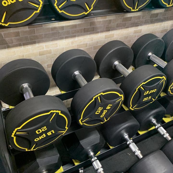 TPUダンベル　15kg2個