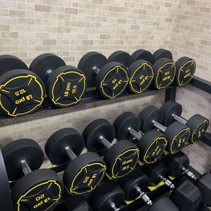 TPUダンベル　15kg2個