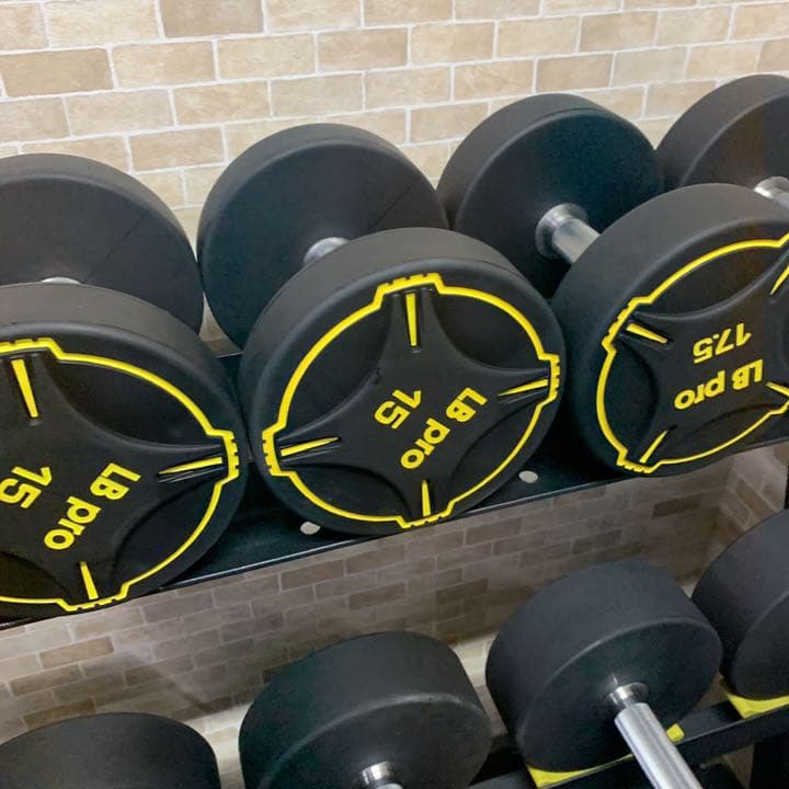 TPUダンベル　15kg2個