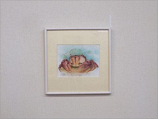 生物細密画（水彩）「ヒライソガニ」
