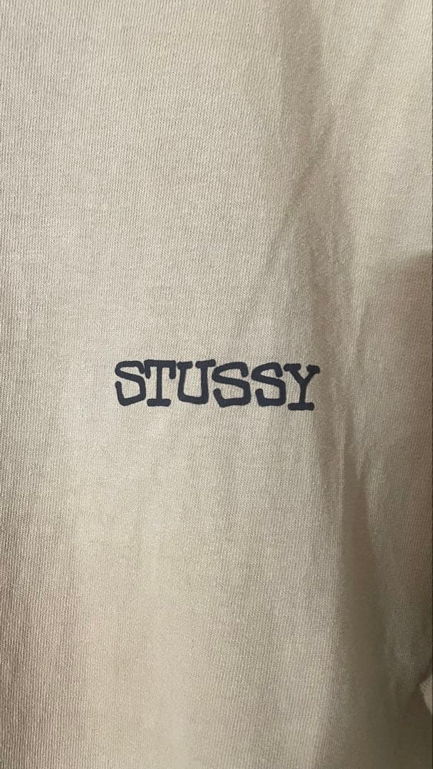 スケートボード Stussy JUMBO TEE PIGMENT DYED
