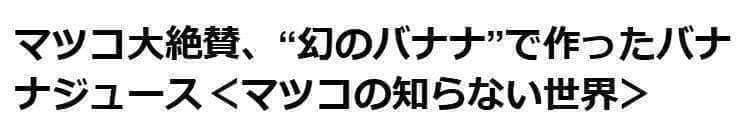 糖度の鬼◆130㎝巨大◆超、ドワーフ＝キングナムワ。バナナ苗◆耐寒強、関東露地