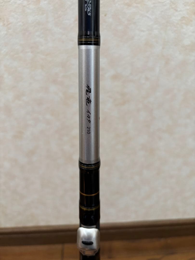 飛竜イカダ210