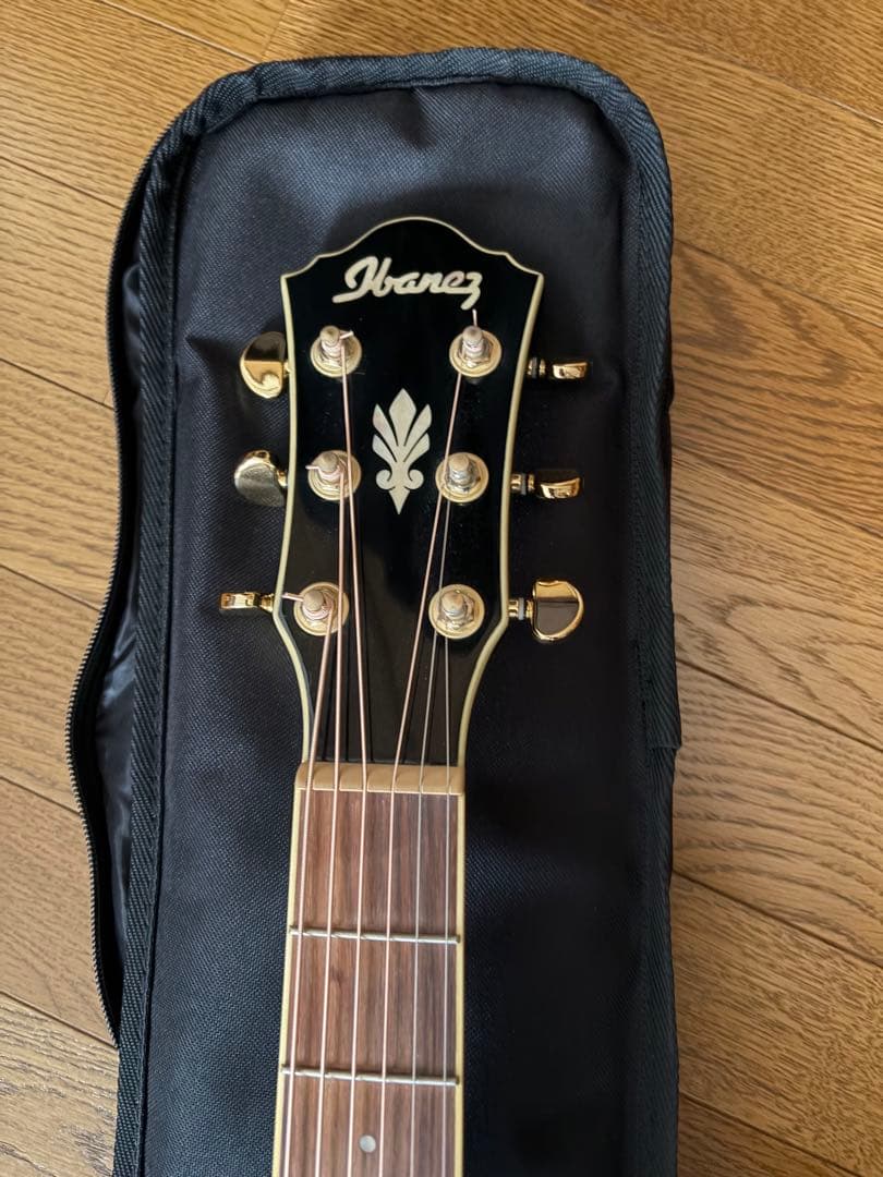 Ibanez AEG24ⅡTGB