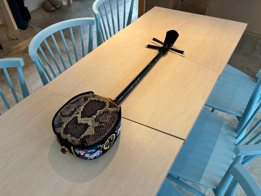 【BEGINゆかりの名店で購入】沖縄三線本格セット ハードケース・教則本・バチ付