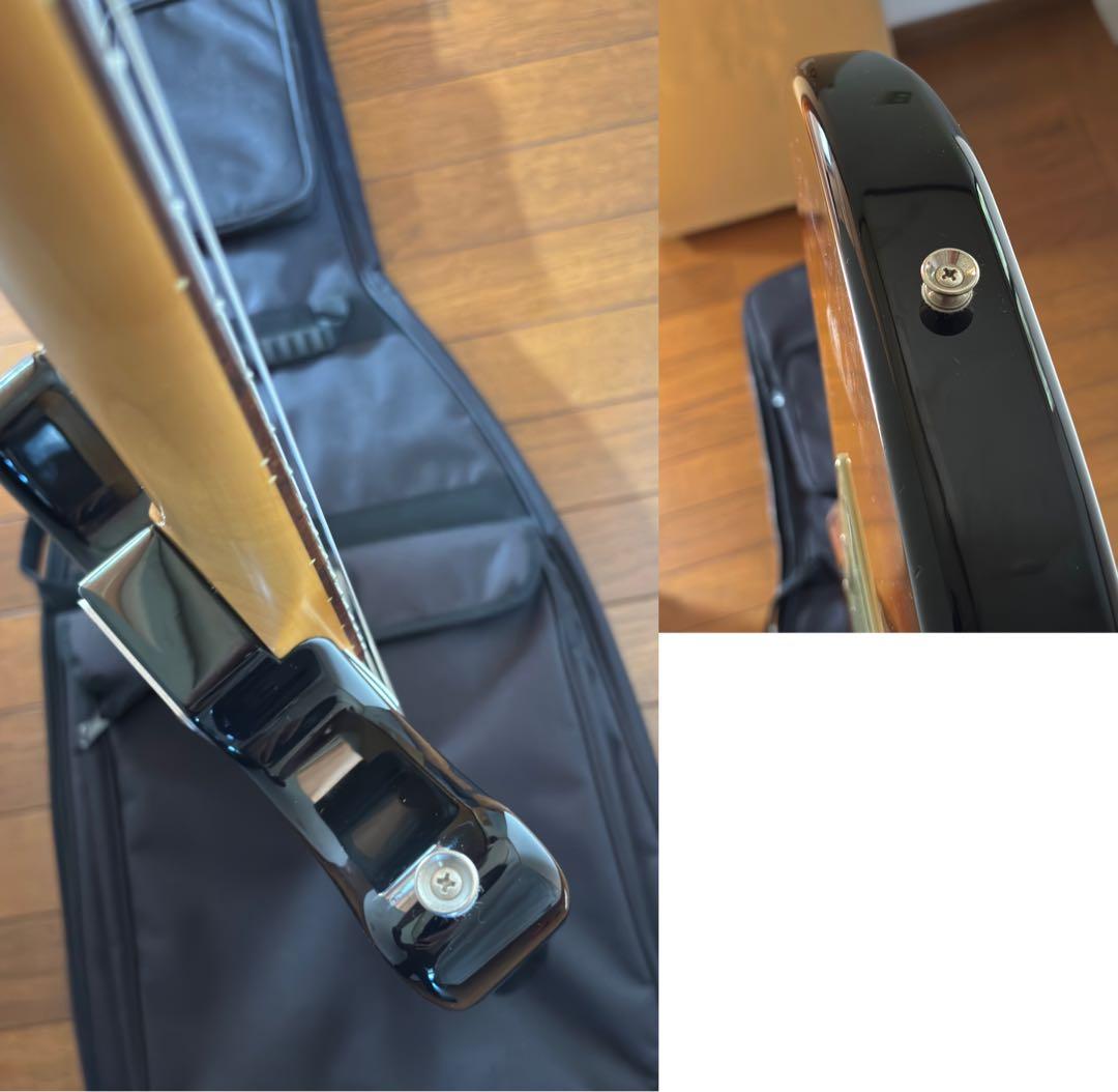 FUJIGEN エレキギター　日本製　CNCY10RAL-3TS フジゲン