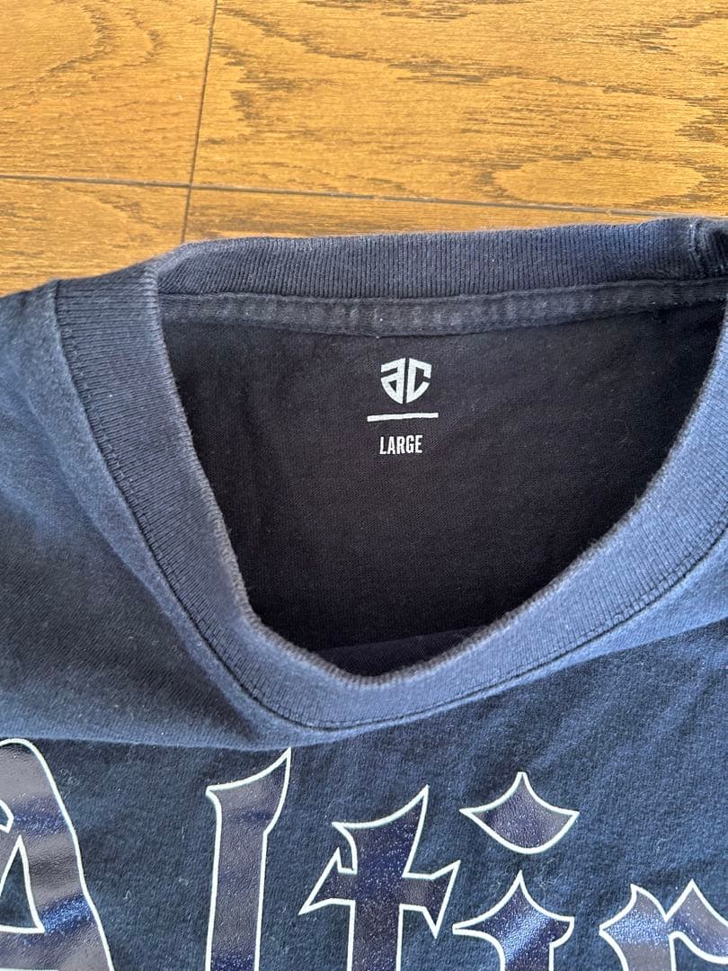 アルティーリ千葉 オールドイングリッシュ Tシャツ ブラックL