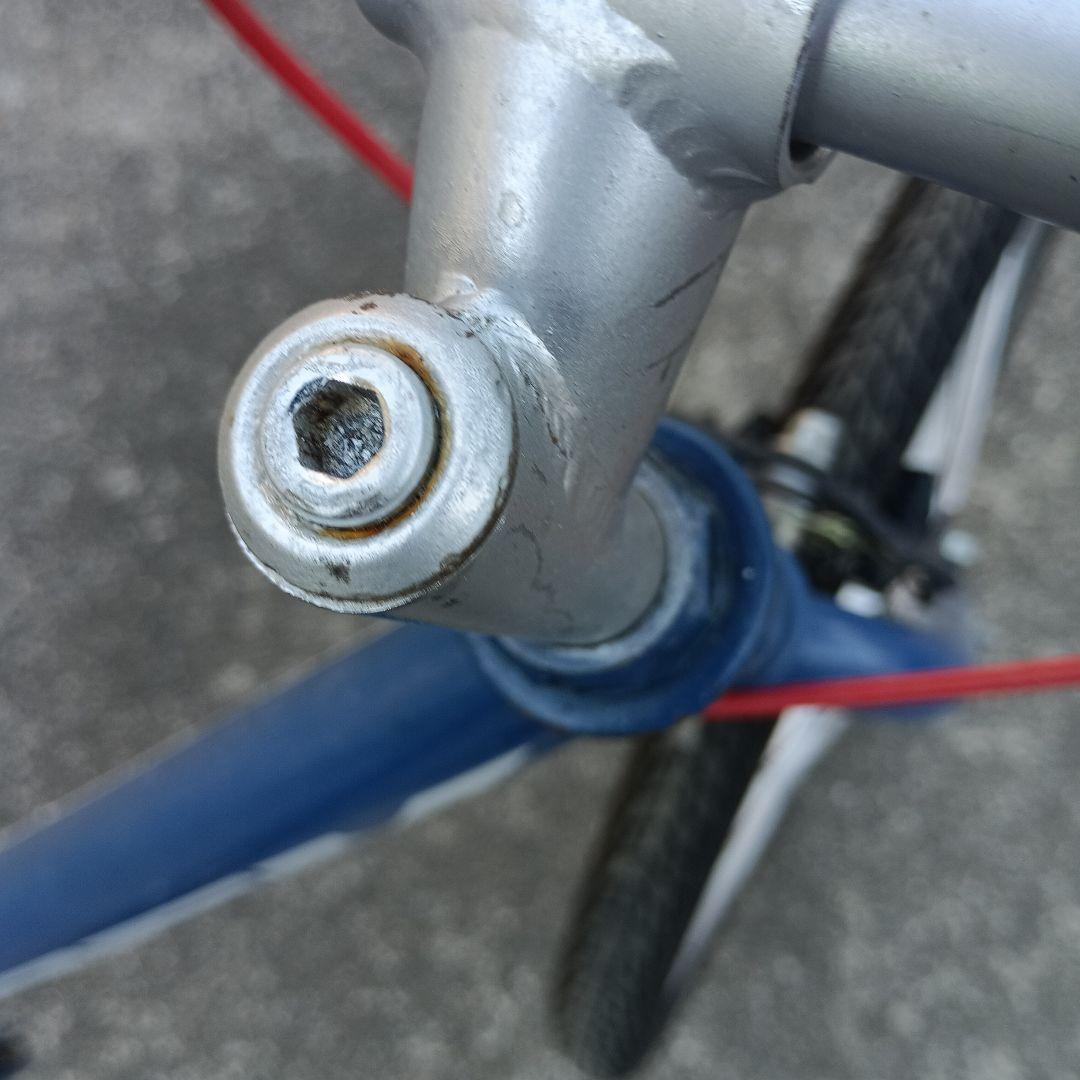 Trek 子供用自転車 20インチ 青