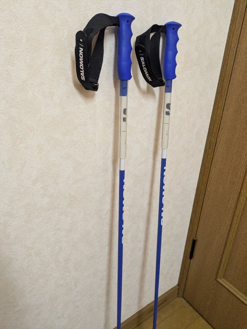 サロモン　s/race カーボンポール　110cm