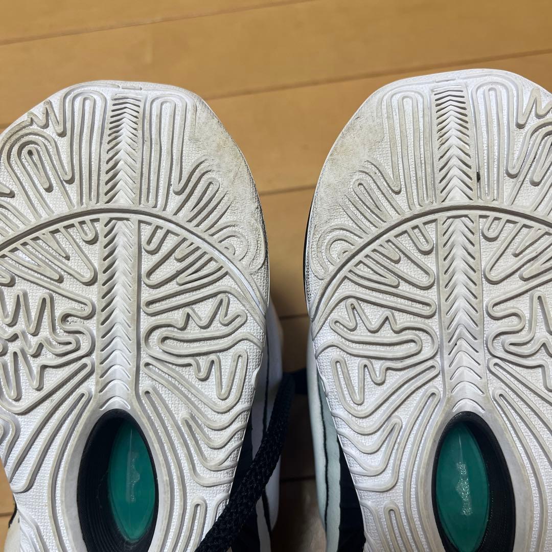 Nike LeBron 21 \"Conchiolin\" バッシュ
