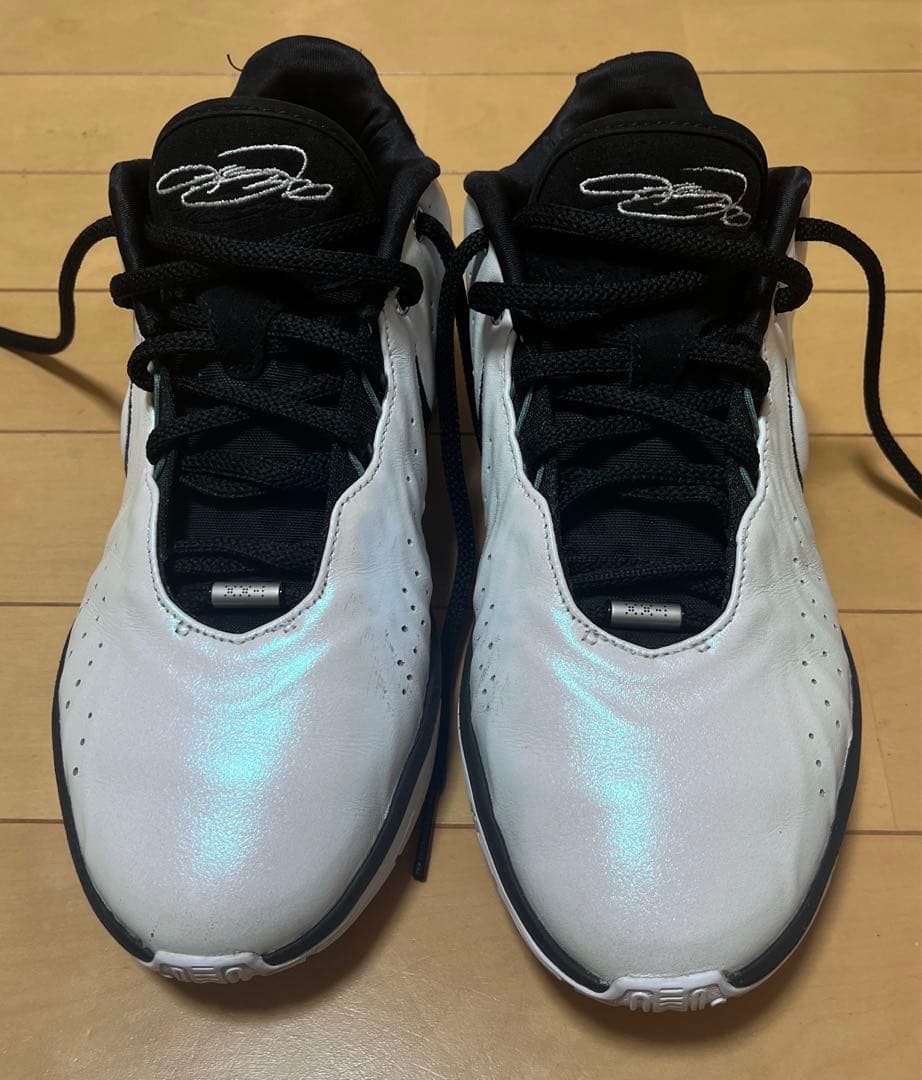 Nike LeBron 21 \"Conchiolin\" バッシュ