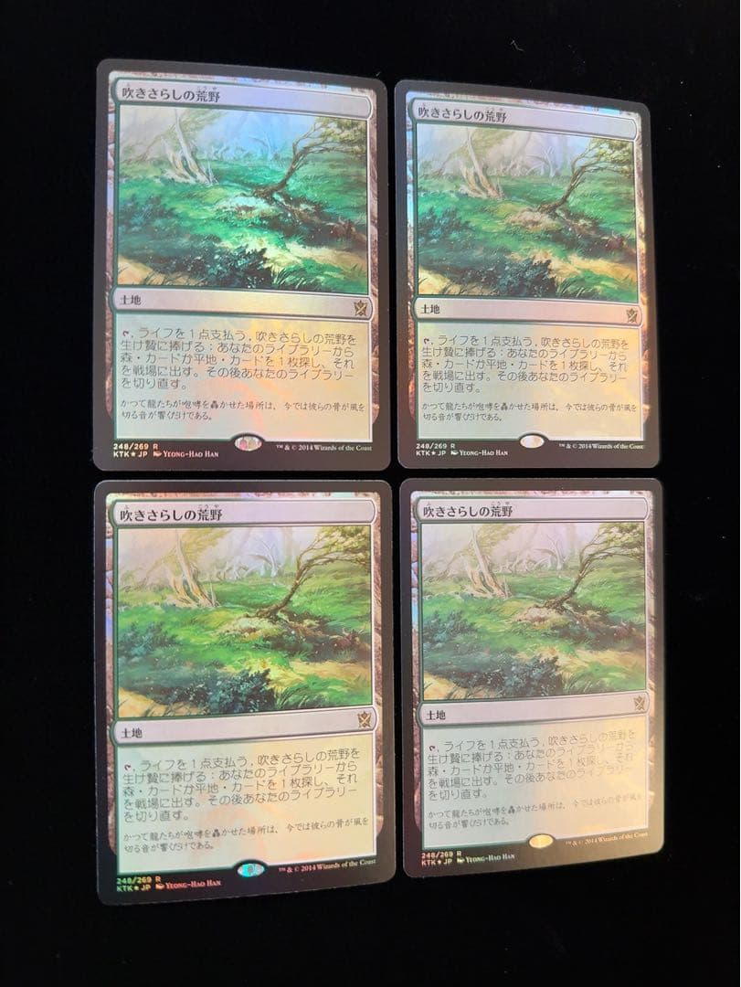 【foil】吹きさらしの荒野　日本語　4枚セット