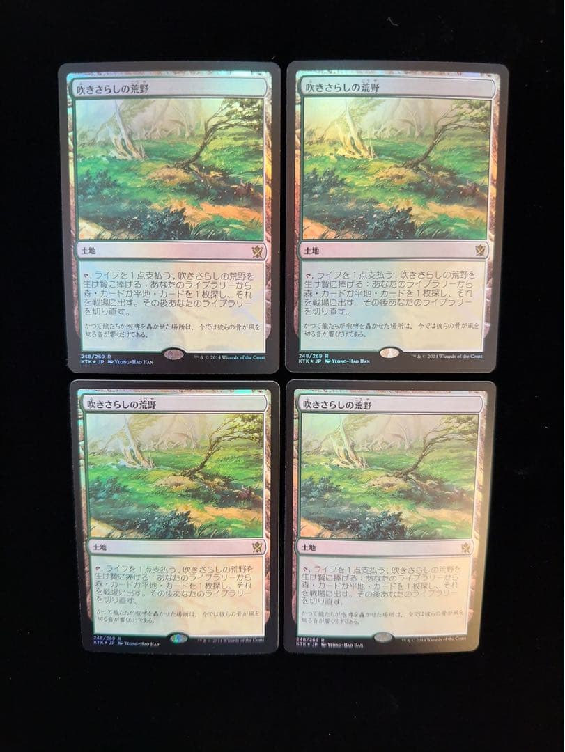 【foil】吹きさらしの荒野　日本語　4枚セット