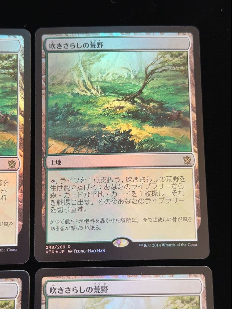 【foil】吹きさらしの荒野　日本語　4枚セット
