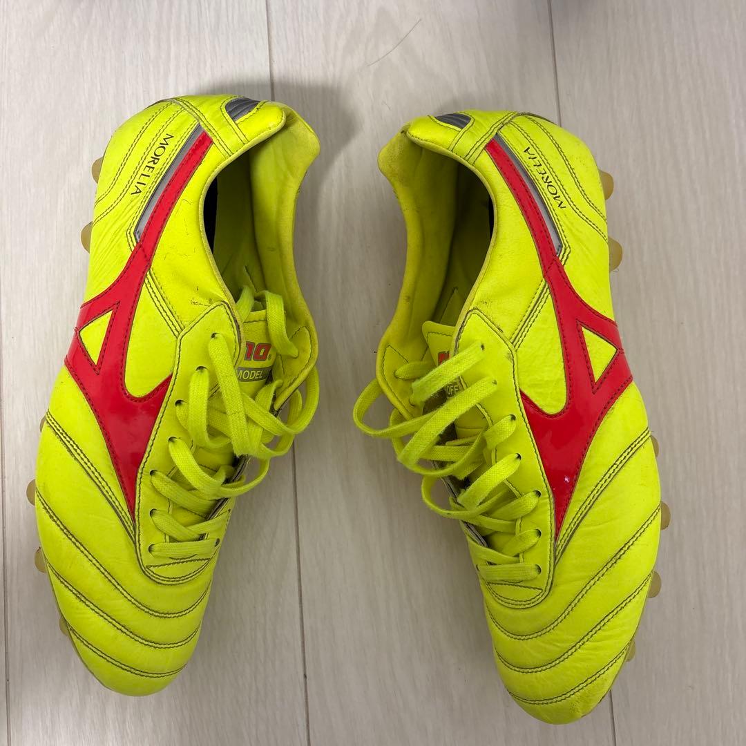 限定色Morelia II