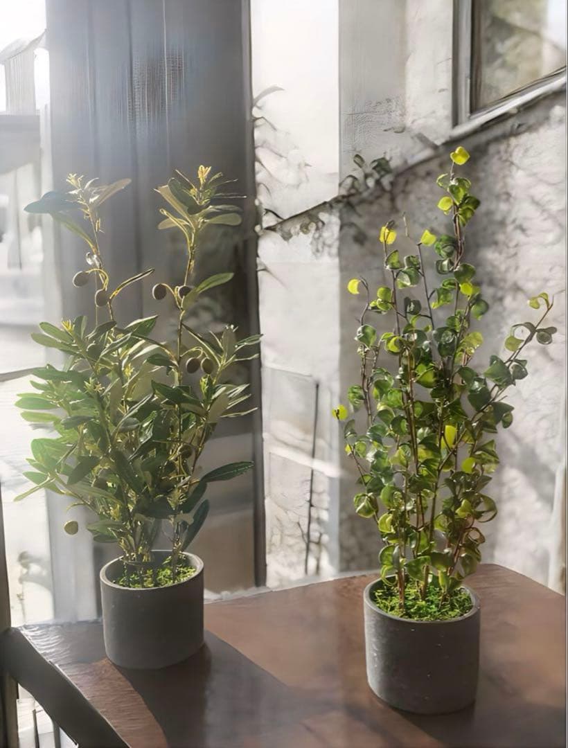 光触媒　人工観葉植物　ウォールグリーン　フェイクグリーン　オリーブとバロック58