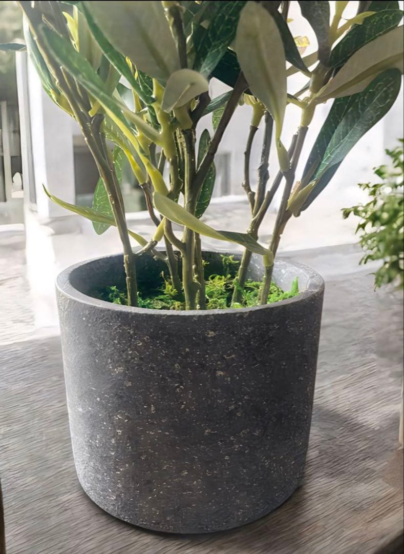 光触媒　人工観葉植物　ウォールグリーン　フェイクグリーン　オリーブとバロック58