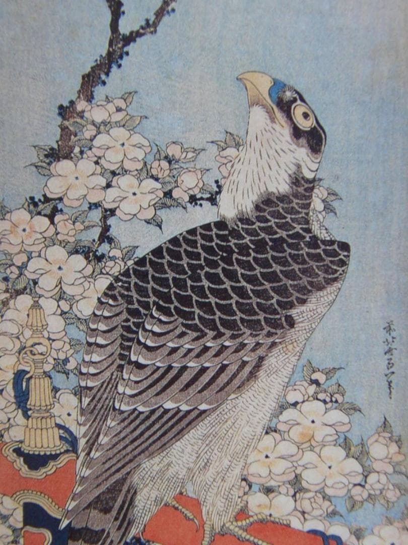 葛飾北斎、【桜花に鷹図】、希少画集画より、状態良好、新品高級額装付