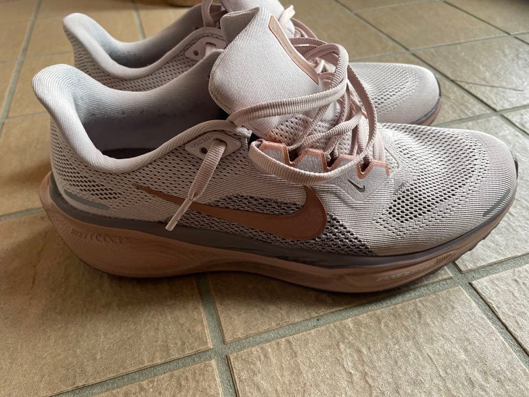 Nike Air Zoom Pegasus 41 ナイキ エア ズーム ペガサス