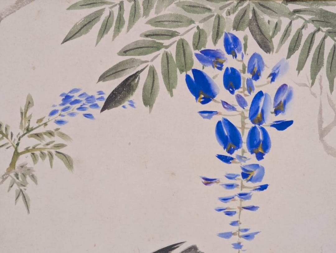 【真作】絵画　日本画（色紙）　藤に飛翔する鳥　雅趣あふれる花鳥画　Z55