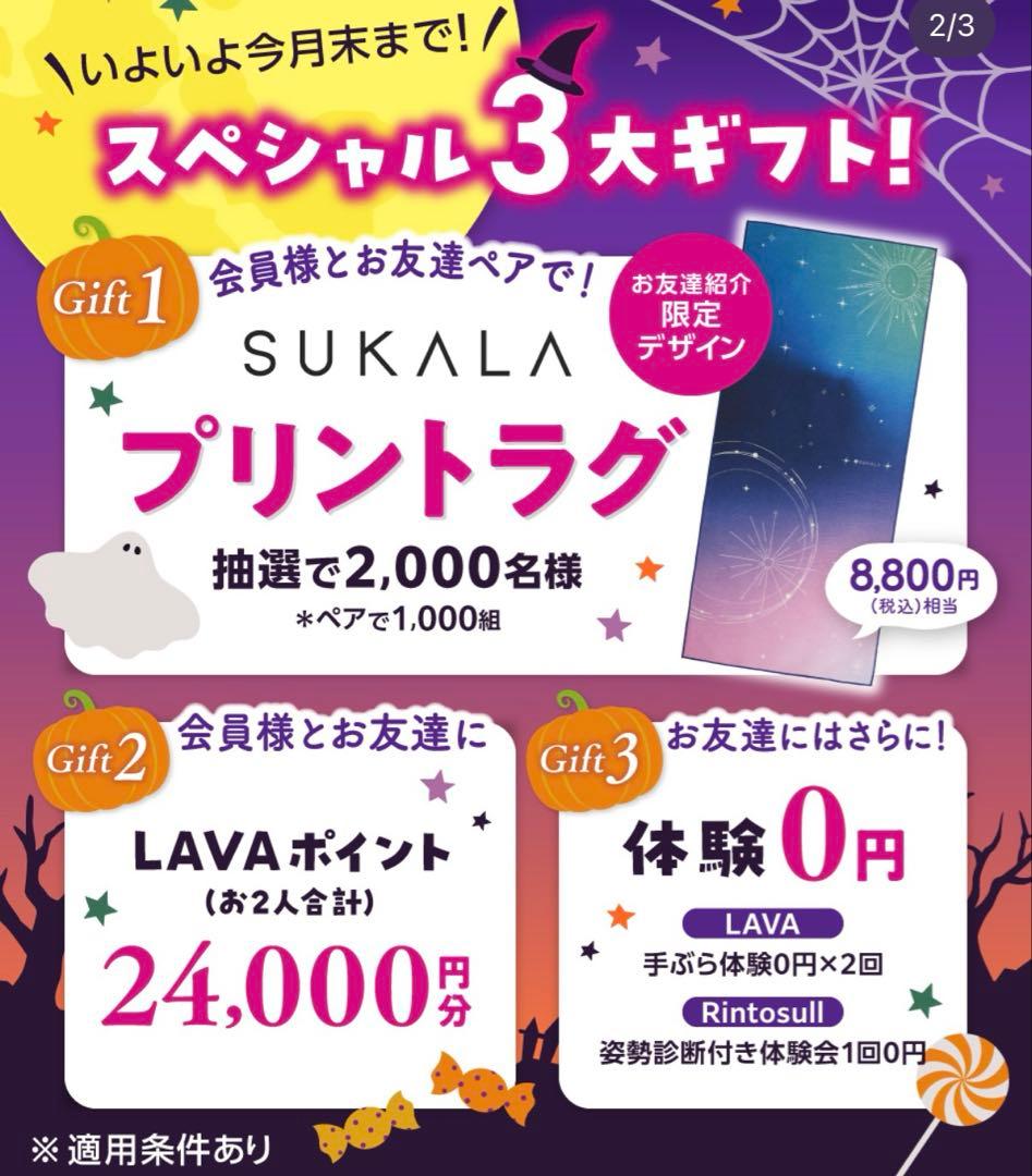 【LAVA】SUKALA 限定デザイン 紹介 Print Yogi Rug